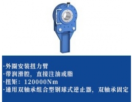 逆止器-双轴承+扭力臂型)