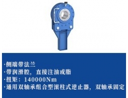 钢球式逆止器 -法兰型1