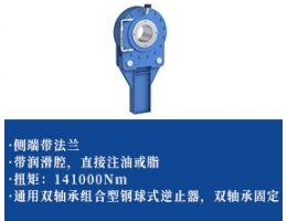 钢球式逆止器 -法兰型2