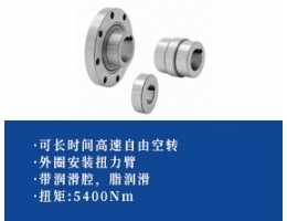 滚柱式逆止器 -法兰型1