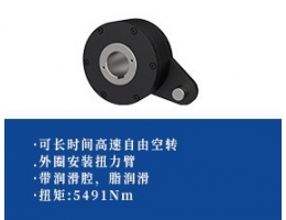 钢球逆止器 -扭力臂型