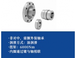 简易单向离合器 -额外安装轴承