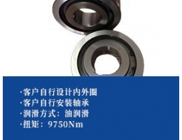 楔块单向轴承-宽型