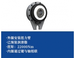 钢球式超越离合器 -扭力臂型