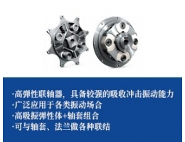 高吸振轮胎联轴器-法兰联接