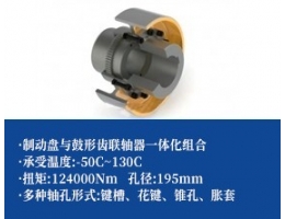 鼓形齿联轴器+制动盘