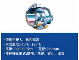鼓形齿联轴器-基准型