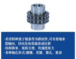 链条联轴器
