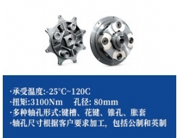 曲面齿联轴器-法兰联接