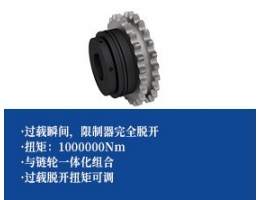 高精密钢球式扭矩限制器 +链轮组合