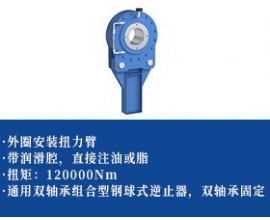 逆止器-双轴承+扭力臂型)