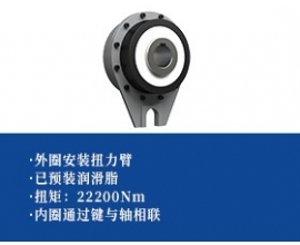 单向离合器 -扭力臂型