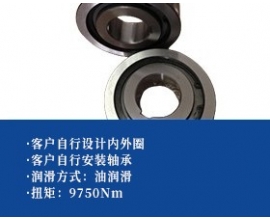 楔块单向轴承-宽型