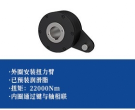 单向轴承 -扭力臂