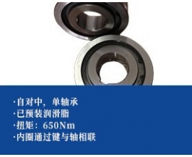 单轴承超越离合器 -内圈带键槽，外圈过盈