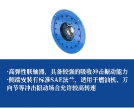轮胎联轴器-法兰联接
