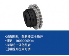钢球式扭矩限制器 -齿轮型