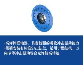 轮胎联轴器-法兰联接