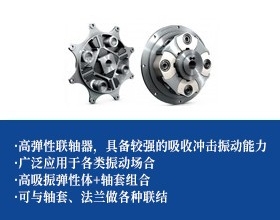 高吸振轮胎联轴器-法兰联接